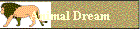 Animal Dream