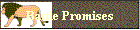 Battle Promises
