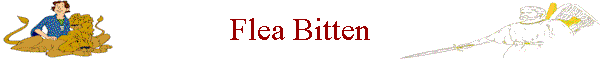 Flea Bitten