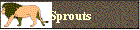 Sprouts