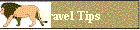 Travel Tips